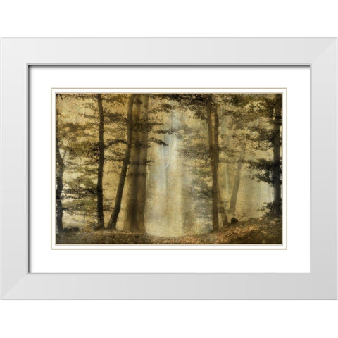 Golden Magic White Modern Wood Framed Art Print with Double Matting by Weisz, Irene