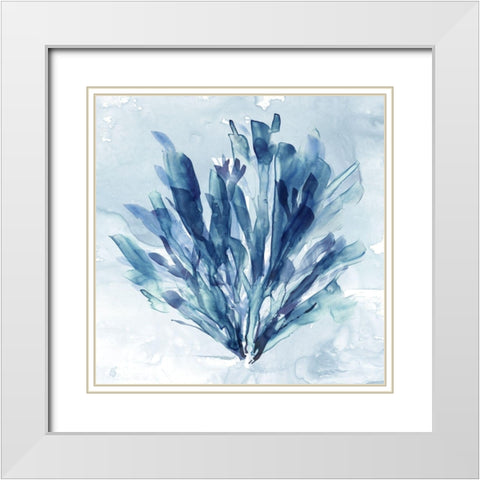 Coastal Coral I White Modern Wood Framed Art Print with Double Matting by Robinson, Carol