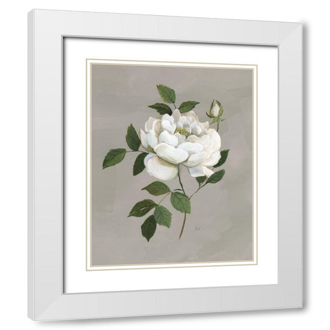 Botanical Rose White Modern Wood Framed Art Print with Double Matting by Nan