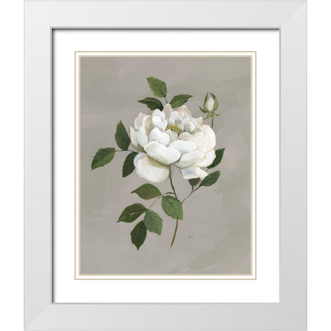 Botanical Rose White Modern Wood Framed Art Print with Double Matting by Nan