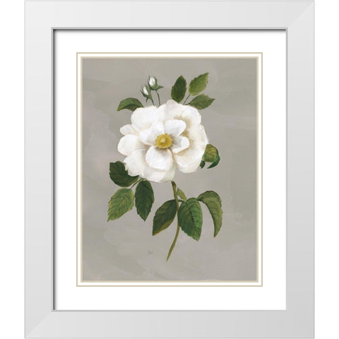 Botanical Garden Rose White Modern Wood Framed Art Print with Double Matting by Nan