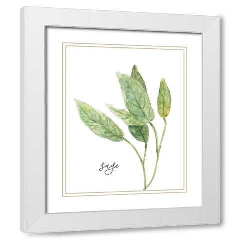 Fresh Sprig Sage White Modern Wood Framed Art Print with Double Matting by Robinson, Carol