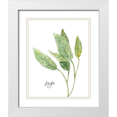 Fresh Sprig Sage White Modern Wood Framed Art Print with Double Matting by Robinson, Carol
