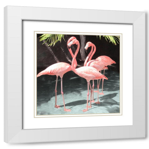 Flamingo Inlet I White Modern Wood Framed Art Print with Double Matting by Carpentieri, Natalie