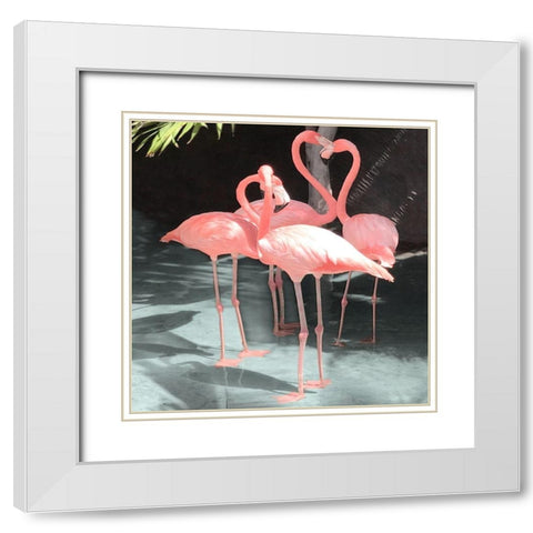 Flamingo Inlet II White Modern Wood Framed Art Print with Double Matting by Carpentieri, Natalie