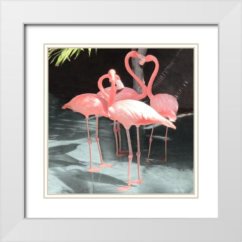 Flamingo Inlet II White Modern Wood Framed Art Print with Double Matting by Carpentieri, Natalie
