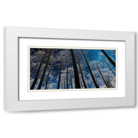 Night Silhouette White Modern Wood Framed Art Print with Double Matting by Jill, Susan