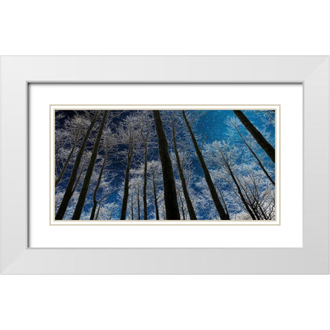 Night Silhouette White Modern Wood Framed Art Print with Double Matting by Jill, Susan
