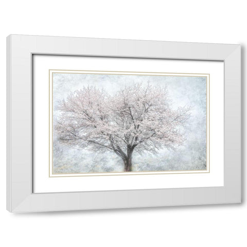 A Feel of Spring II White Modern Wood Framed Art Print with Double Matting by Weisz, Irene