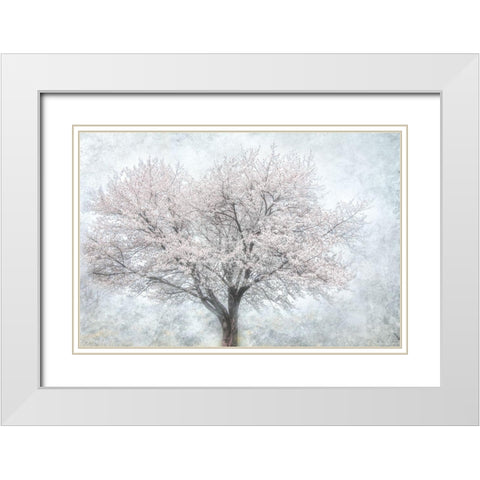 A Feel of Spring II White Modern Wood Framed Art Print with Double Matting by Weisz, Irene