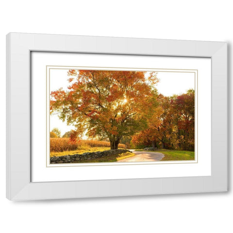 Maple Tree Drive White Modern Wood Framed Art Print with Double Matting by Foulke, Doug