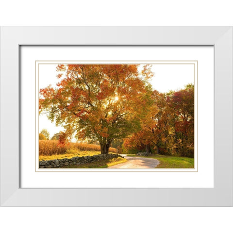 Maple Tree Drive White Modern Wood Framed Art Print with Double Matting by Foulke, Doug