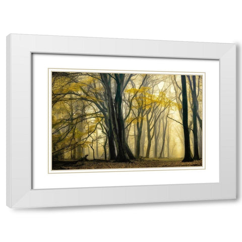 In Love with Golden Fall White Modern Wood Framed Art Print with Double Matting by Van de Goor, Lars