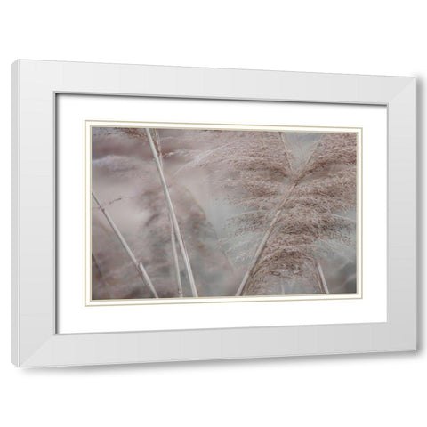 Pampas Field II White Modern Wood Framed Art Print with Double Matting by Weisz, Irene