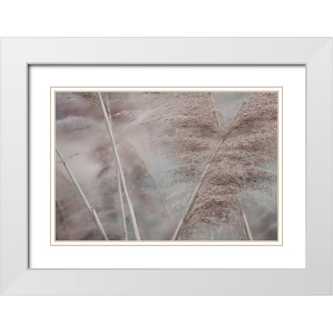 Pampas Field II White Modern Wood Framed Art Print with Double Matting by Weisz, Irene