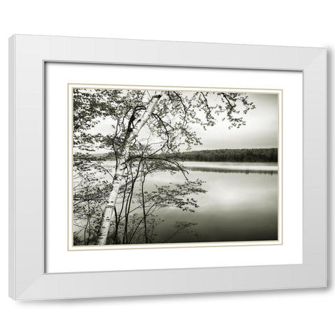 Adirondack Reflections White Modern Wood Framed Art Print with Double Matting by Murray, Chris