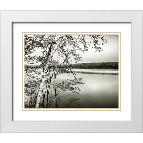 Adirondack Reflections White Modern Wood Framed Art Print with Double Matting by Murray, Chris