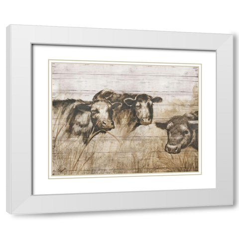 Sepia Cows White Modern Wood Framed Art Print with Double Matting by Brooks, Donna