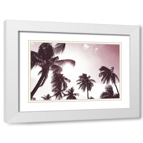 Palm Sunshine White Modern Wood Framed Art Print with Double Matting by Carpentieri, Natalie
