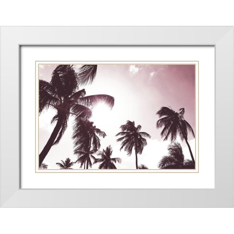 Palm Sunshine White Modern Wood Framed Art Print with Double Matting by Carpentieri, Natalie