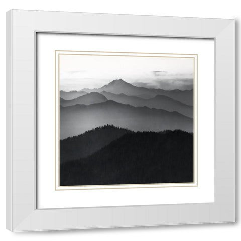 Cascades White Modern Wood Framed Art Print with Double Matting by Delimont, Danita