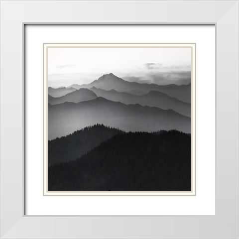 Cascades White Modern Wood Framed Art Print with Double Matting by Delimont, Danita