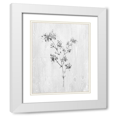 Neutral Meadow I White Modern Wood Framed Art Print with Double Matting by Knutsen, Conrad