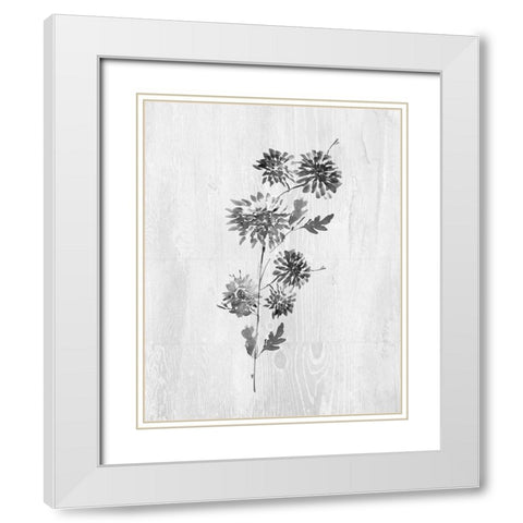 Neutral Meadow II White Modern Wood Framed Art Print with Double Matting by Knutsen, Conrad