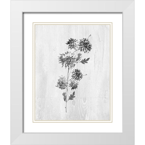 Neutral Meadow II White Modern Wood Framed Art Print with Double Matting by Knutsen, Conrad