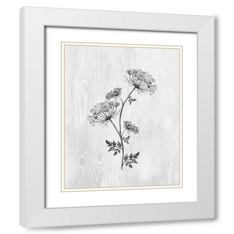 Neutral Meadow III White Modern Wood Framed Art Print with Double Matting by Knutsen, Conrad