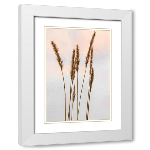 Sunset Pond II White Modern Wood Framed Art Print with Double Matting by Jones, Adam