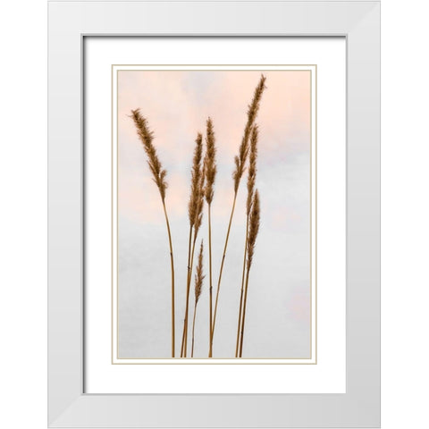 Sunset Pond II White Modern Wood Framed Art Print with Double Matting by Jones, Adam