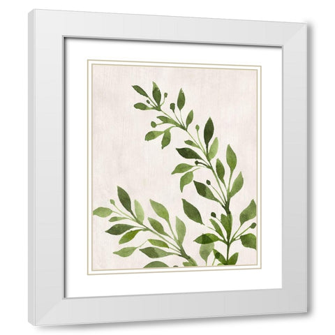 Botanical Wash I White Modern Wood Framed Art Print with Double Matting by Knutsen, Conrad