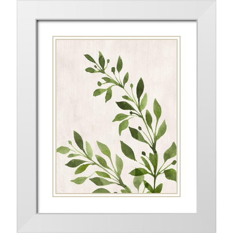Botanical Wash I White Modern Wood Framed Art Print with Double Matting by Knutsen, Conrad