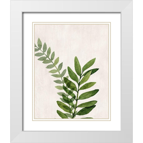 Botanical Wash II White Modern Wood Framed Art Print with Double Matting by Knutsen, Conrad