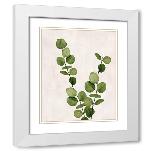 Botanical Wash III White Modern Wood Framed Art Print with Double Matting by Knutsen, Conrad