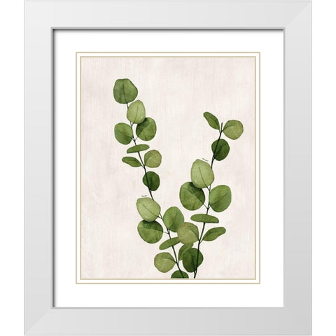 Botanical Wash III White Modern Wood Framed Art Print with Double Matting by Knutsen, Conrad