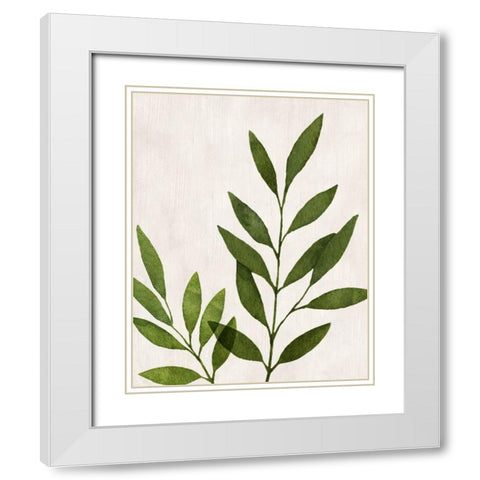 Botanical Wash IV White Modern Wood Framed Art Print with Double Matting by Knutsen, Conrad