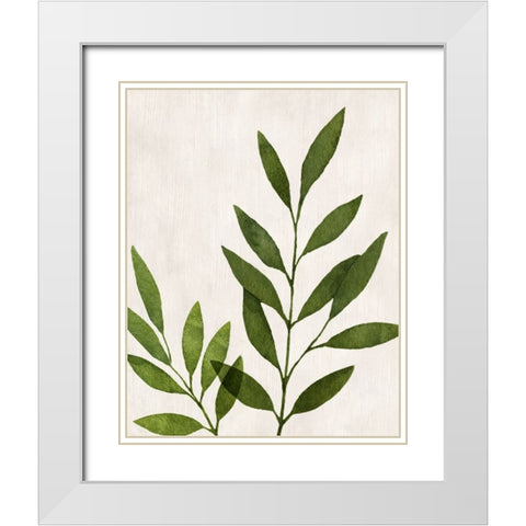 Botanical Wash IV White Modern Wood Framed Art Print with Double Matting by Knutsen, Conrad