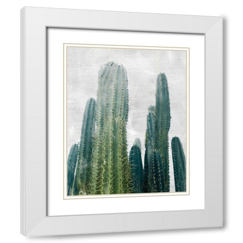 Aruba Cacti I White Modern Wood Framed Art Print with Double Matting by Carpentieri, Natalie