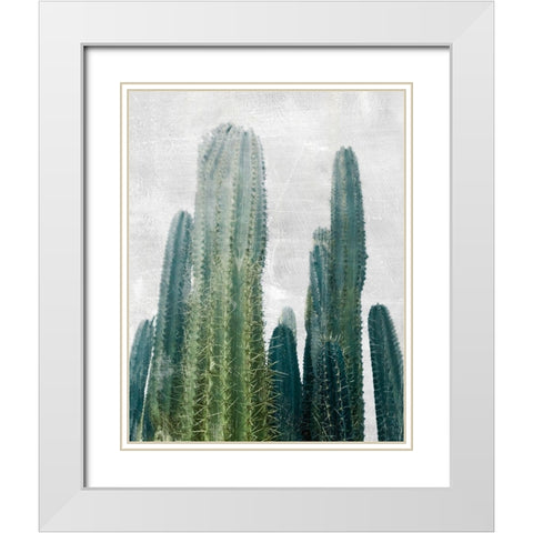 Aruba Cacti I White Modern Wood Framed Art Print with Double Matting by Carpentieri, Natalie