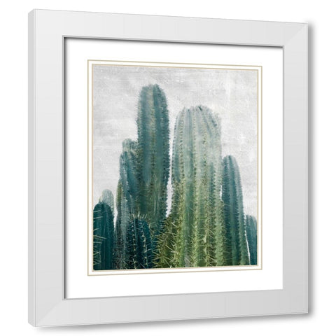 Aruba Cacti White Modern Wood Framed Art Print with Double Matting by Carpentieri, Natalie
