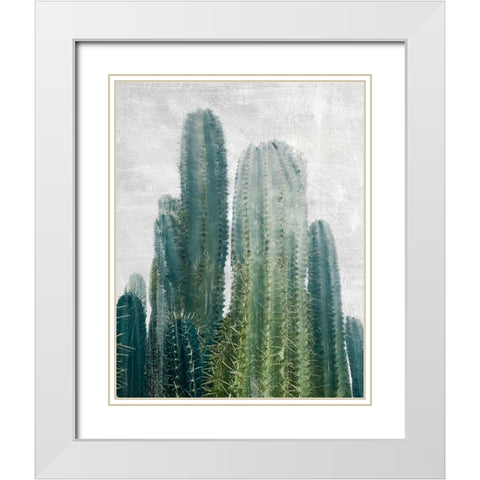 Aruba Cacti White Modern Wood Framed Art Print with Double Matting by Carpentieri, Natalie