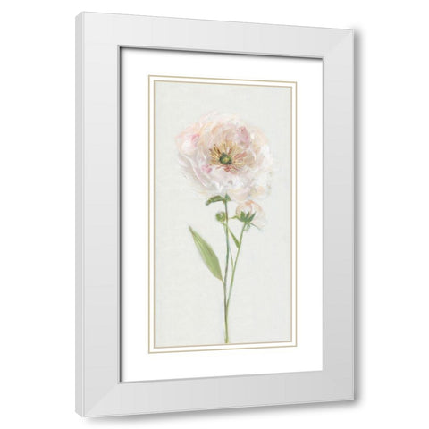 Single Stem Peony II White Modern Wood Framed Art Print with Double Matting by Swatland, Sally