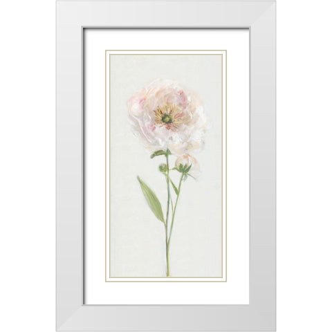 Single Stem Peony II White Modern Wood Framed Art Print with Double Matting by Swatland, Sally