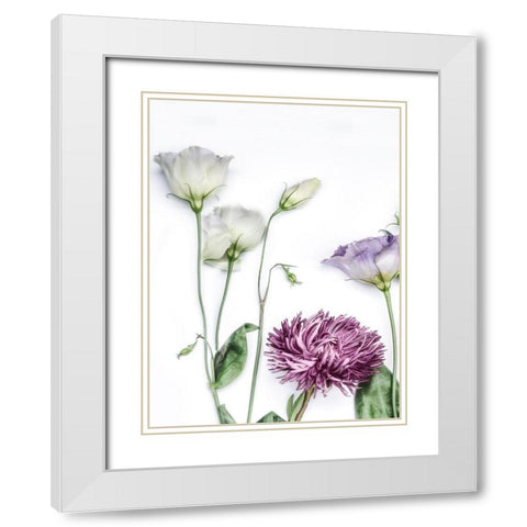 Moderne Jardin II White Modern Wood Framed Art Print with Double Matting by Weisz, Irene