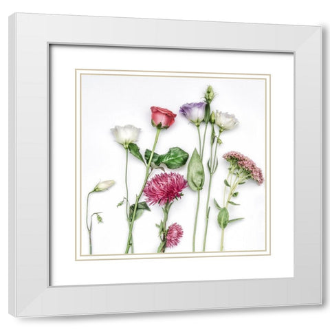 Fleur Moderne I White Modern Wood Framed Art Print with Double Matting by Weisz, Irene