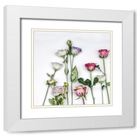 Fleur Moderne II White Modern Wood Framed Art Print with Double Matting by Weisz, Irene