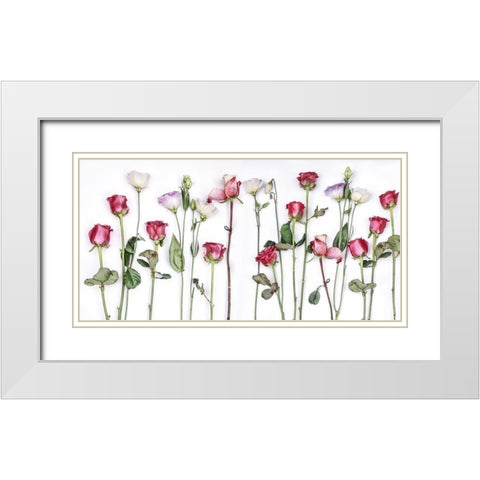 Rouge Moderne Panel White Modern Wood Framed Art Print with Double Matting by Weisz, Irene