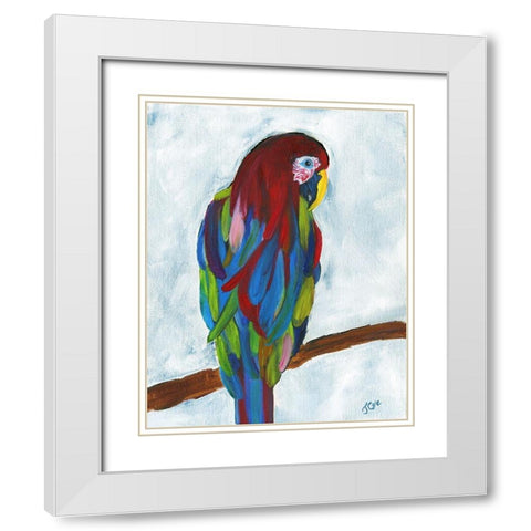 Tropical Parrot White Modern Wood Framed Art Print with Double Matting by Cole, Jan